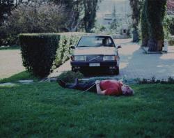 New World Paradigm (L)